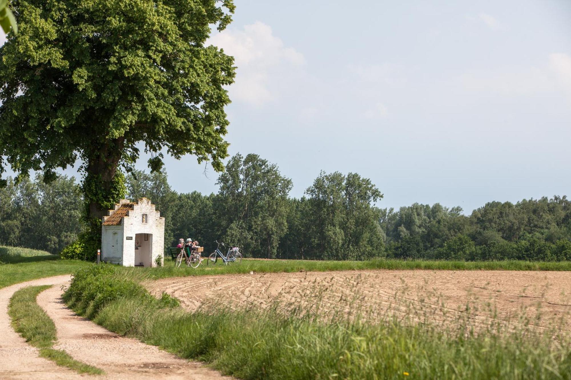 Vakantiewoningen Eyveld بيسيل المظهر الخارجي الصورة